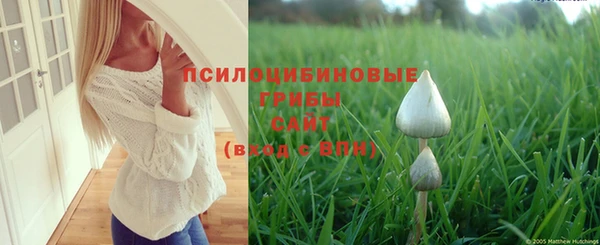 кокс Козловка
