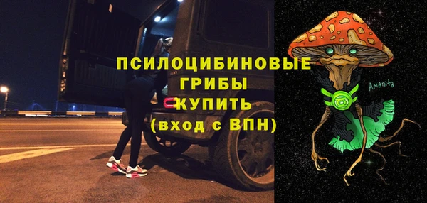 2c-b Козельск
